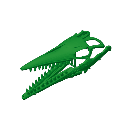 Tylosteus Skull.3mf