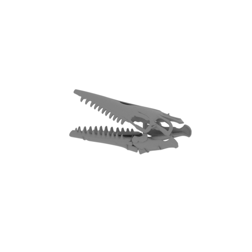 Tylosteus Skull.stl