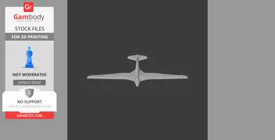 DFS Habicht - Scale Vehicle STL