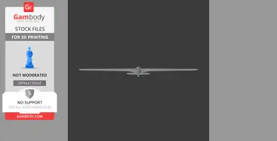 DFS Habicht - Scale Vehicle STL