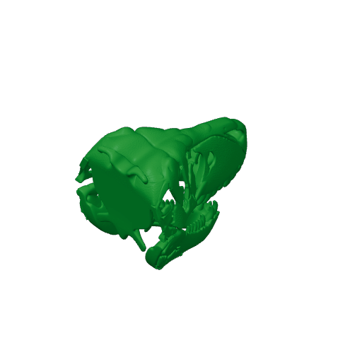 Tyrannosaurus Rex Skull.3mf