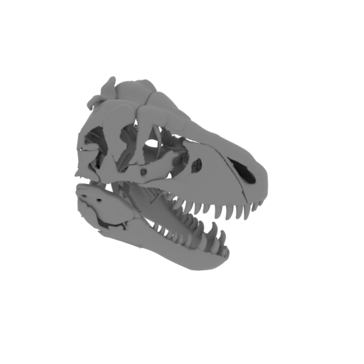 Tyrannosaurus Rex Skull.stl