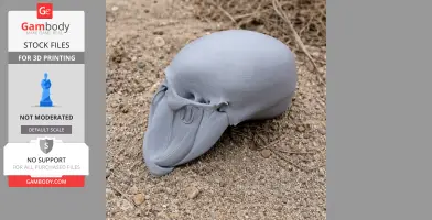 Umbrellabird Skull - Skull Replica STL