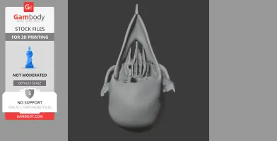 Umbrellabird Skull - Skull Replica STL