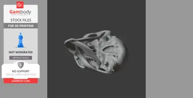 Umbrellabird Skull - Skull Replica STL