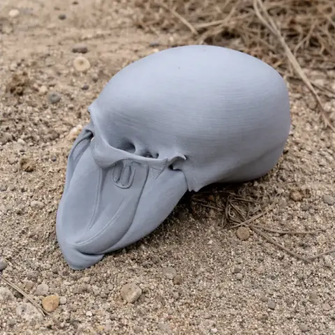 Umbrellabird Skull - Skull Replica STL