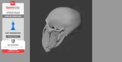 Umbrellabird Skull - Skull Replica STL