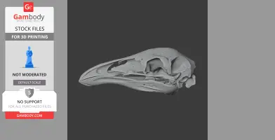 Upland Moa Skull - Skull Replica STL