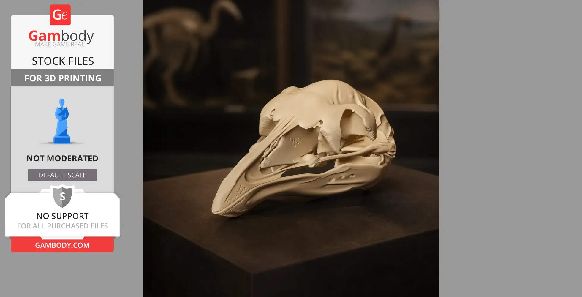 Upland Moa Skull - Skull Replica STL