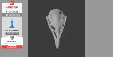 Upland Moa Skull - Skull Replica STL