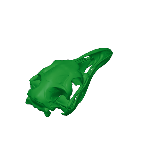 Upland Moa Skull.3mf