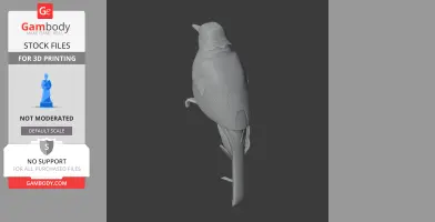 3D model of a perched bird, viewed from the back, with detailed feathers and a long tail.