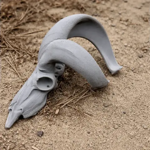 Urial Skull - Skull Replica STL