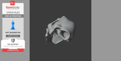 3D model of an Ursus deningeri skull replica for 3D printing from Gambody.