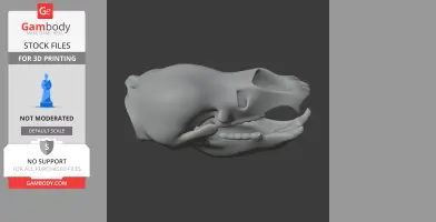 3D model of an Ursus deningeri skull, suitable for 3D printing, showing detailed bone structure.
