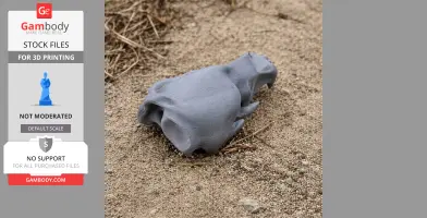 Gray 3D-printed Ursus deningeri skull replica on sandy ground.