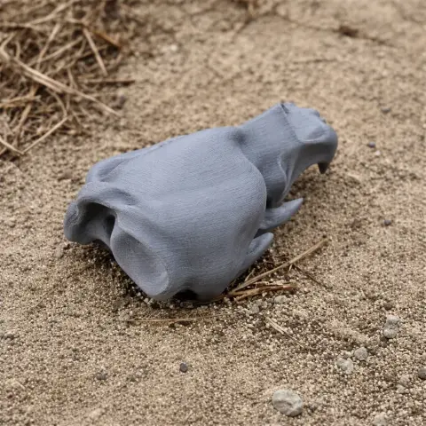 3D-printed Ursus deningeri skull replica resting on sandy ground.