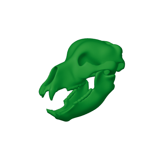 Ursus deningeri Skull.3mf