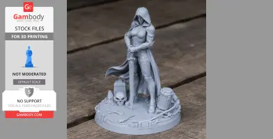 Hooded armored figure with sword, cape, and skull on base, designed for 3D printing.