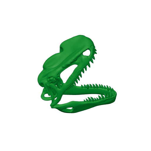 Tyrannotitan Skull.3mf