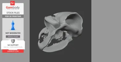 Ursus spelaeus (Cave Bear) Skull - Skull Replica STL