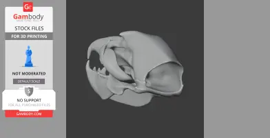 Ursus spelaeus (Cave Bear) Skull - Skull Replica STL
