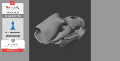Ursus spelaeus (Cave Bear) Skull - Skull Replica STL