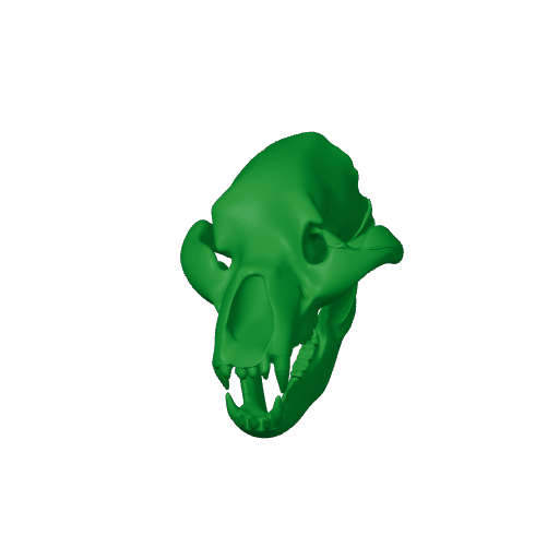 Ursus spelaeus (Cave Bear) Skull.3mf