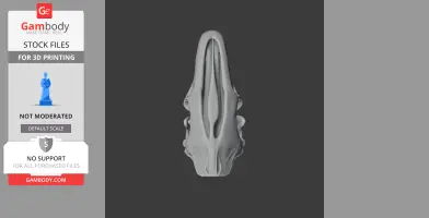 3D model of a Uteodon dinosaur skull, viewed from the top, designed for 3D printing.