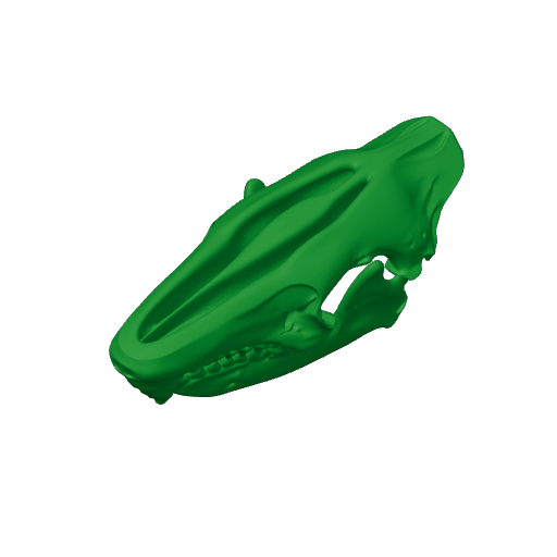 Uteodon Skull.3mf