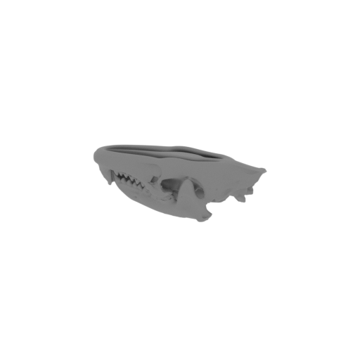 Uteodon Skull.stl