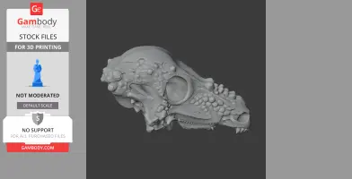 Vectisaurus Skull - Skull Replica STL