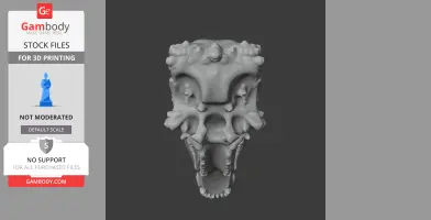 Vectisaurus Skull - Skull Replica STL