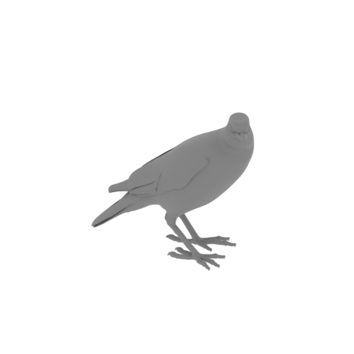 Bank myna.stl
