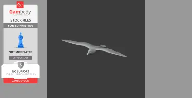 Bannerman's shearwater - Prehistoric Animal STL