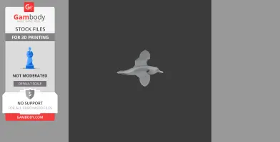 Bannerman's shearwater - Prehistoric Animal STL