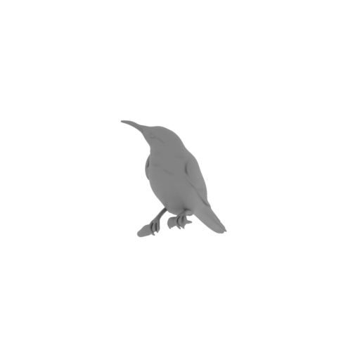 Bannerman's sunbird.stl