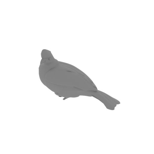 Bannerman's turaco.stl