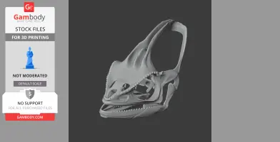 3D model of a detailed veiled chameleon skull, designed for 3D printing.
