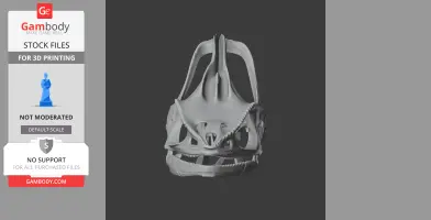 Front view of a detailed 3D model of a veiled chameleon skull, ready for 3D printing.