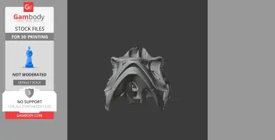 3D model of a detailed veiled chameleon skull, designed for 3D printing.