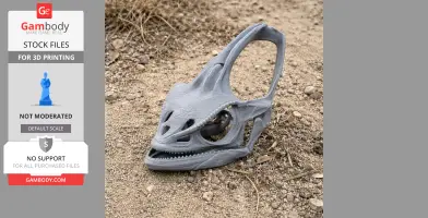A detailed 3D-printed veiled chameleon skull replica resting on rocky ground.