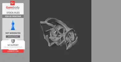 3D model of a veiled chameleon skull, detailed for 3D printing, shown in gray color.