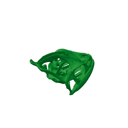Veiled Chameleon Skull.3mf