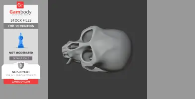 Vervet Monkey Skull - Skull Replica STL
