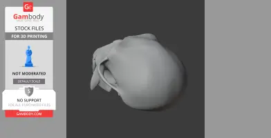 Vervet Monkey Skull - Skull Replica STL