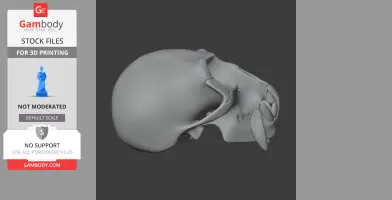 Vervet Monkey Skull - Skull Replica STL