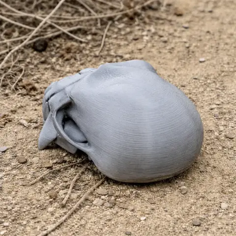 3D-printed vervet monkey skull replica, gray, resting on sandy ground.