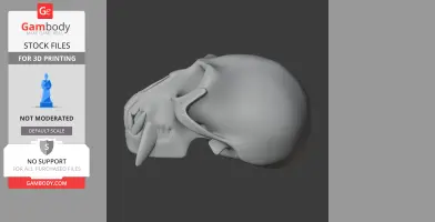Vervet Monkey Skull - Skull Replica STL