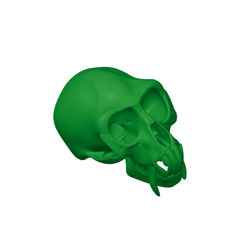 Vervet Monkey Skull.3mf